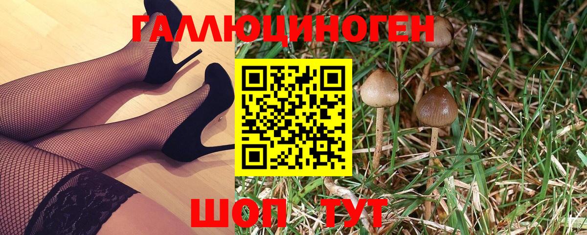 Галлюциногенные грибы Psilocybine cubensis  Галлюциногенные грибы мицелий  Ейск  Вход с VPN 